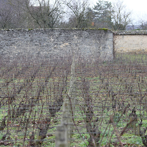 2005-2023:<br> D'Angerville & Mugneret-Gibourg Magnums