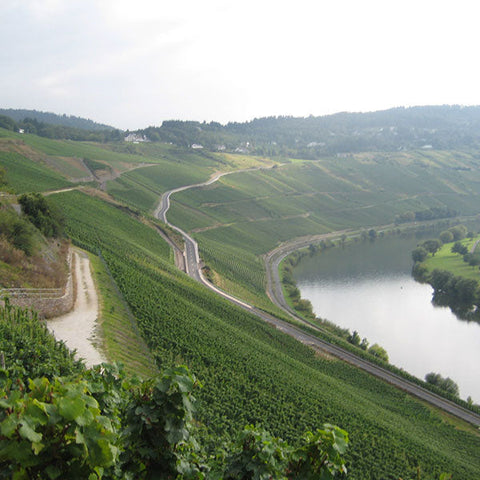 The First-Ever Vintage: <br>U.S. Premiere from Germany