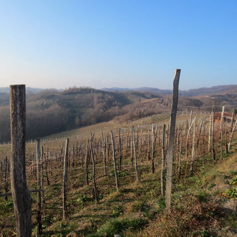 "Readers who want to explore Sangiovese at its finest must put Le Boncie at the top of their lists."<br>2023 Boncie Chianti Classico Le Trame