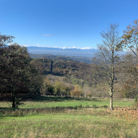 Piedmont:<br> Burlotto, Canonica, Cappellano, Conterno, Lalu, Mascarello, Rinaldi, Serafino Rivella & More