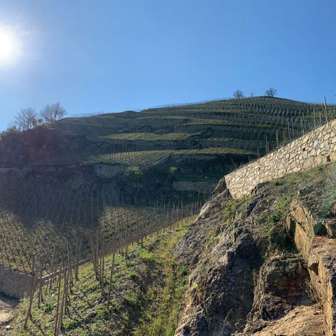 Allemand Cornas <br>2006-2022