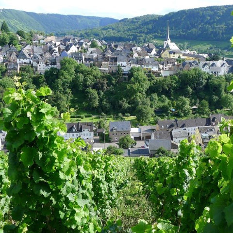 Kabinett vs. Kabinett Trocken: <br>Weiser-Künstler Masterclass