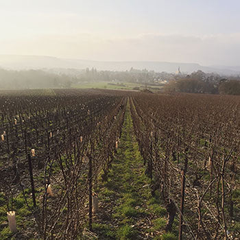 Rare: Roulot Magnums