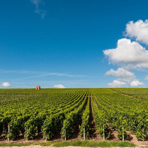 "Laval fans will freak out over the 2021 Hautes-Chèvres" <br>2021 Laval Brut Nature Les Hautes-Chèvres