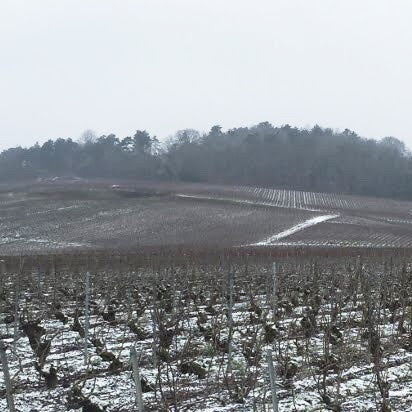 Veuve Clicquot Taste Test <br>- The Wall Street Journal Winner is...