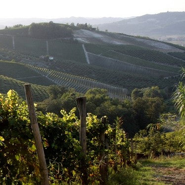 Red Burgundy: <br>Bachelet, Dujac, Fourrier, Mugneret-Gibourg, Roumier, Rousseau & More