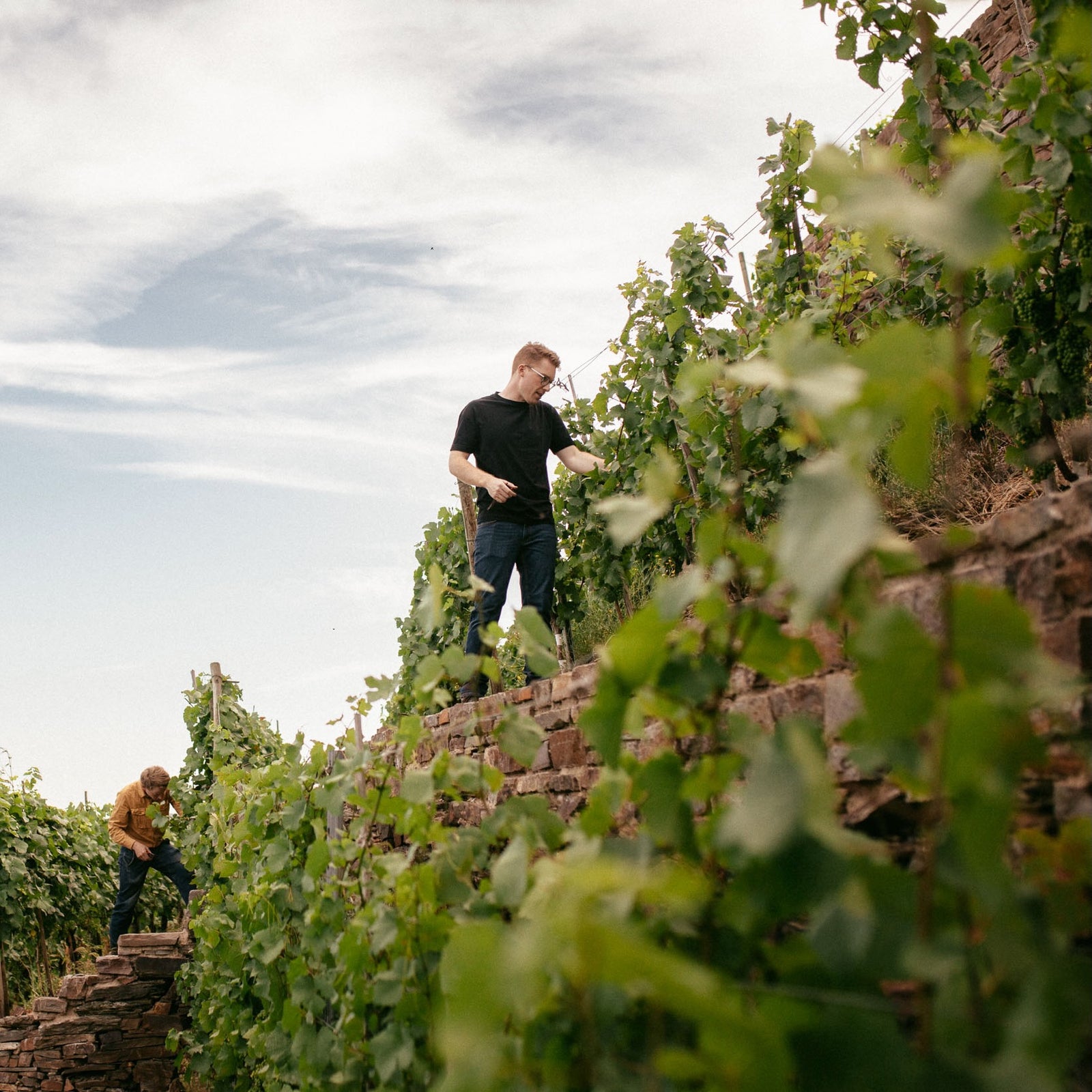 2022 Daniel Fries Pinot Noir Vom Schiefer