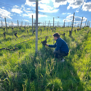 2022 Saalwaechter Chardonnay R