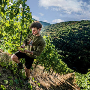 2024 Max Kilburg Riesling Goldtropfchen Grand Cru Dry