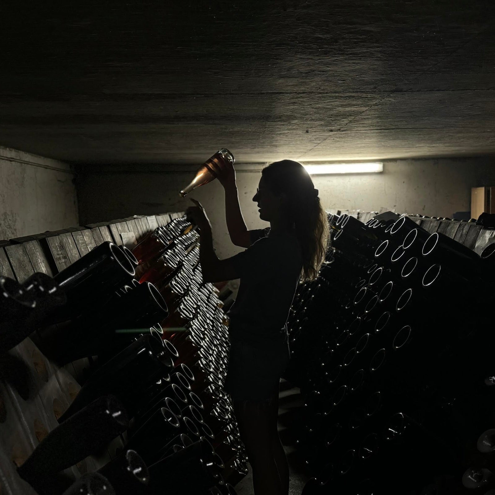 Wine - 2019 Lena Sekt Blanc de Blancs 60 Monaten -