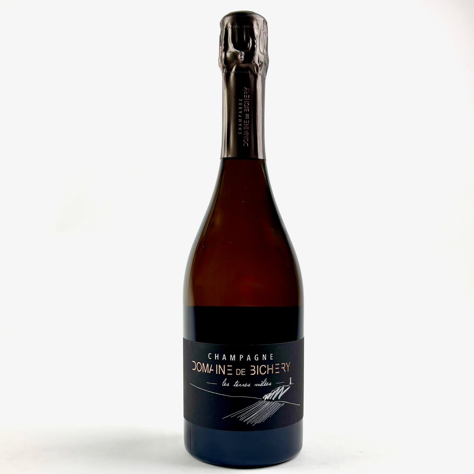 Wine - 2021 Bichery Champagne Les Terres Melees -