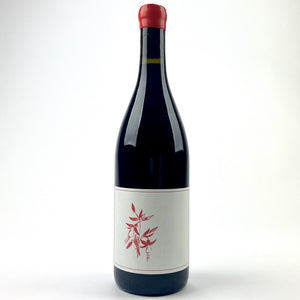 Wine - 2022 Arnot-Roberts Pinot Noir Martin Ray Vineyard Santa Cruz Mountains -