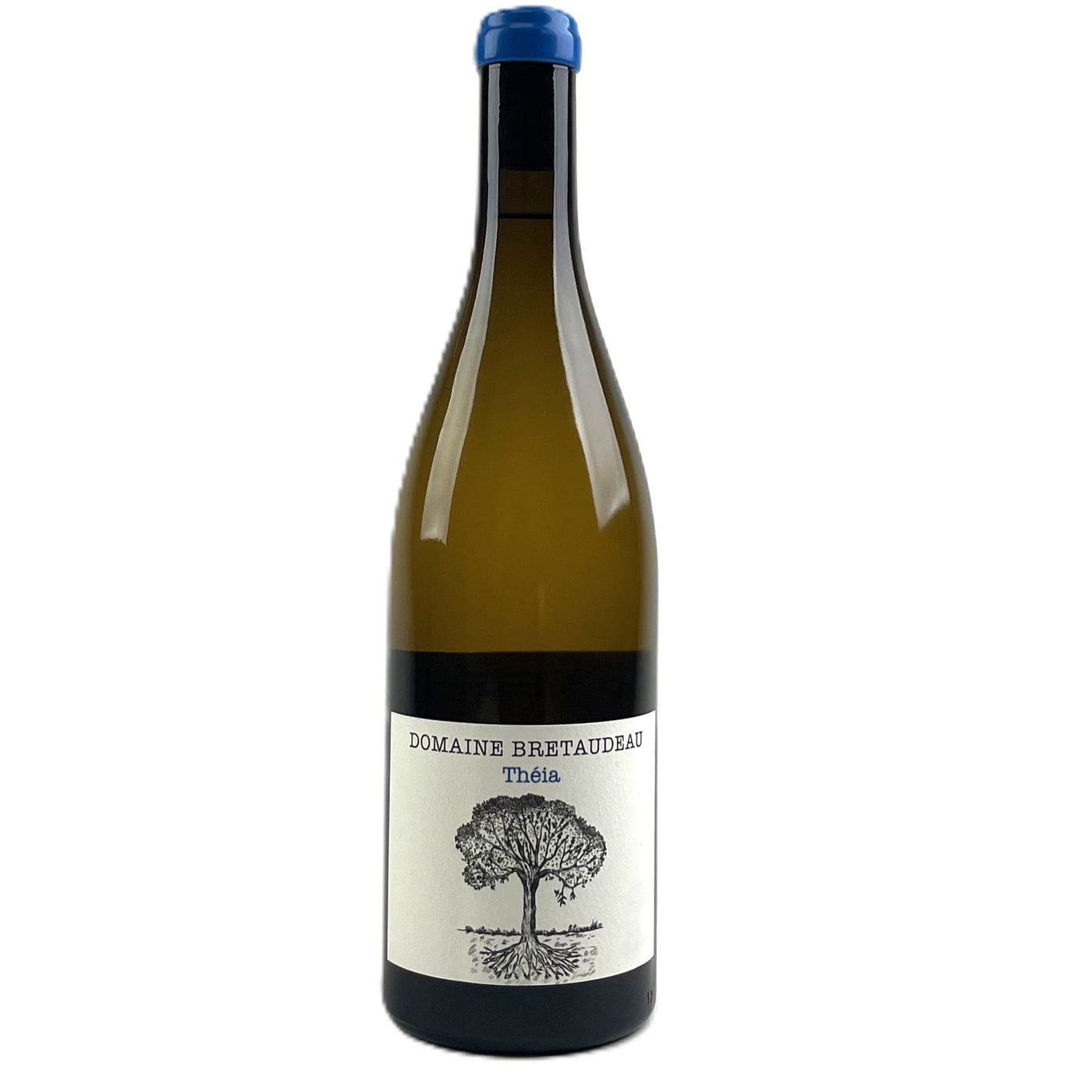 Wine - 2023 Bretaudeau, Jerome Muscadet de Sevre-et-Maine Theia - 3554770157220