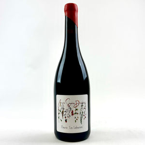 Wine - 2023 Dubois, Anne-Sophie Fleurie Les Labourons -